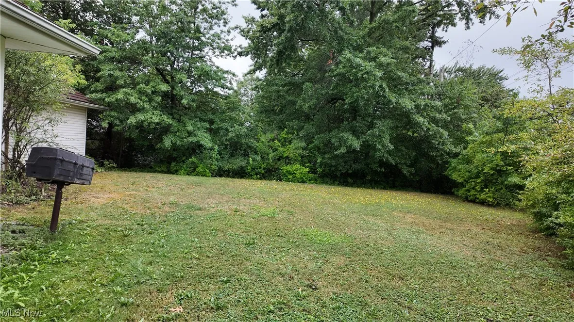 View of grassy yard