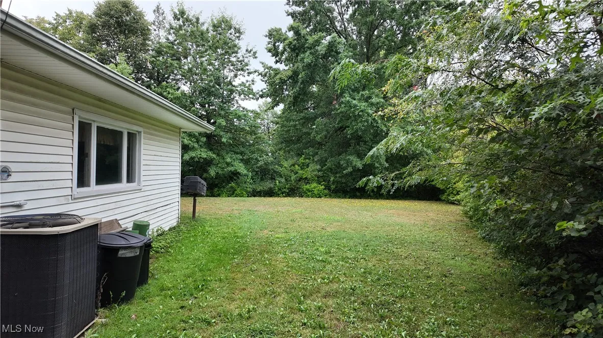 View of grassy yard