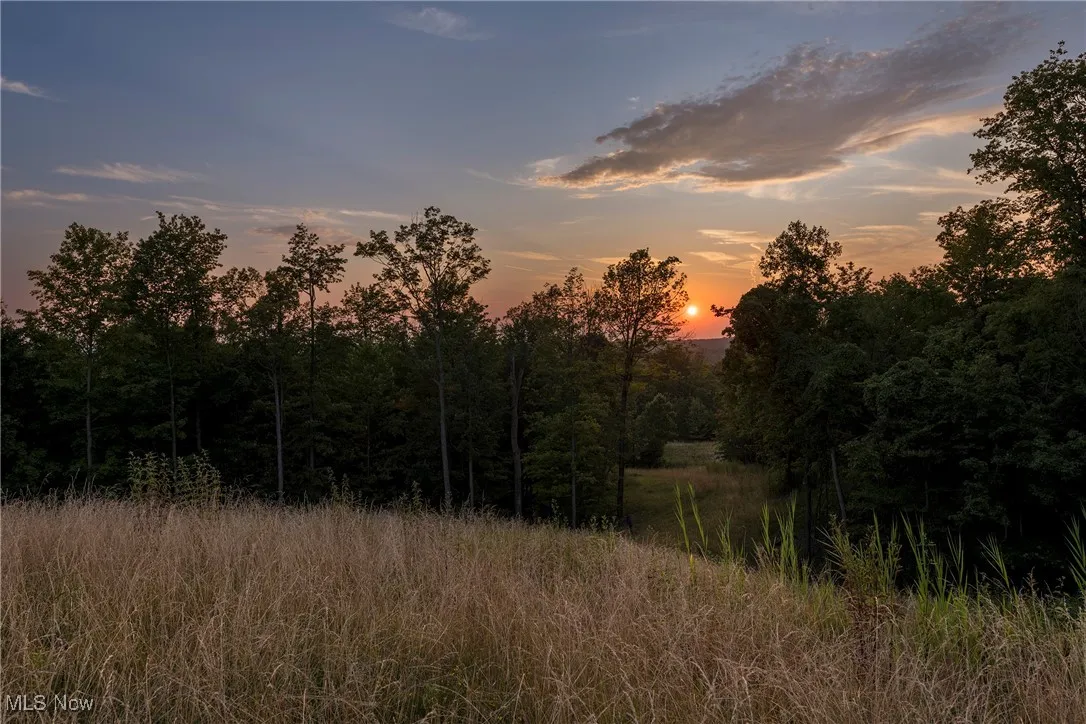 Nature at dusk featuring a forest view