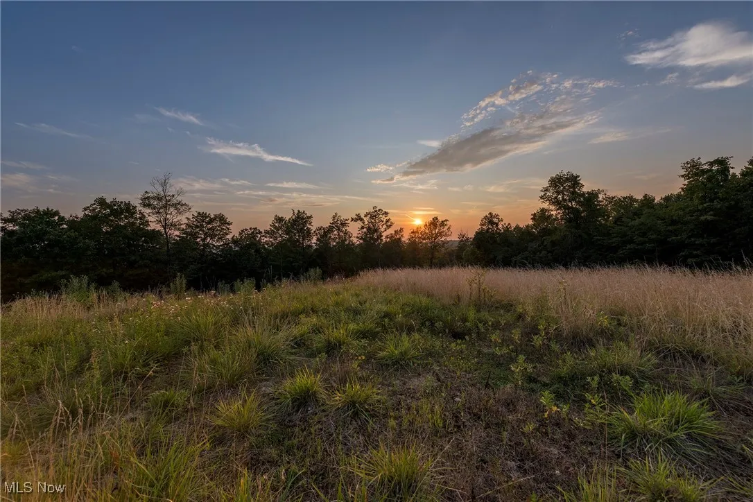 View of nature at dusk