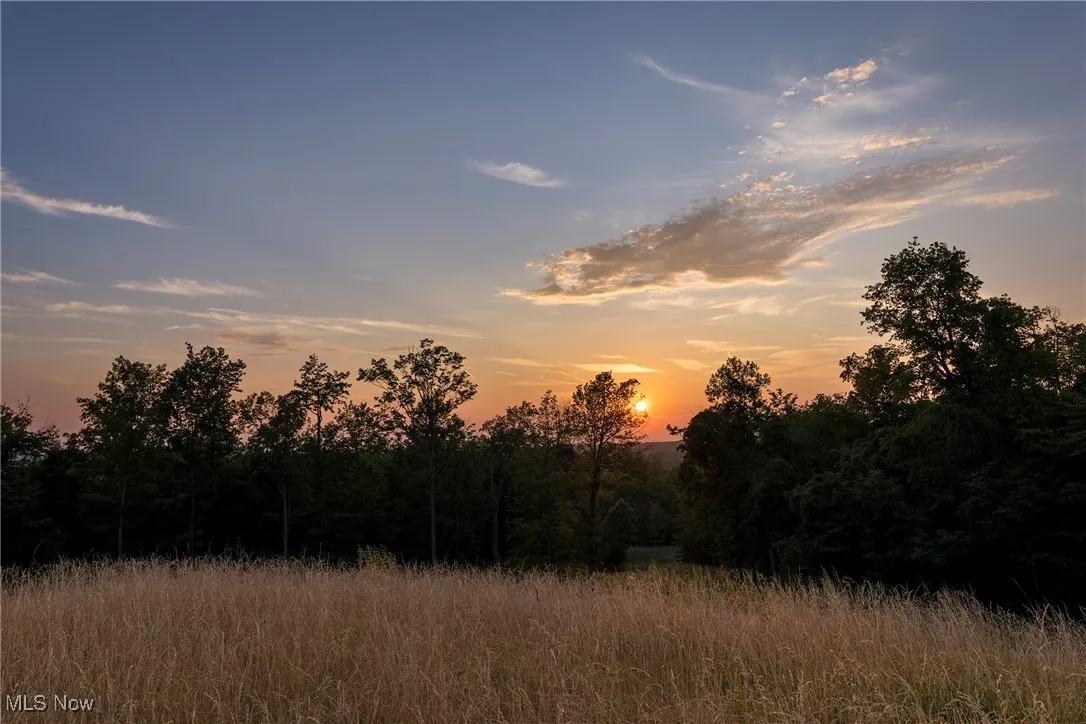 View of woods