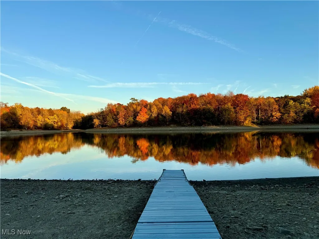 View during fall