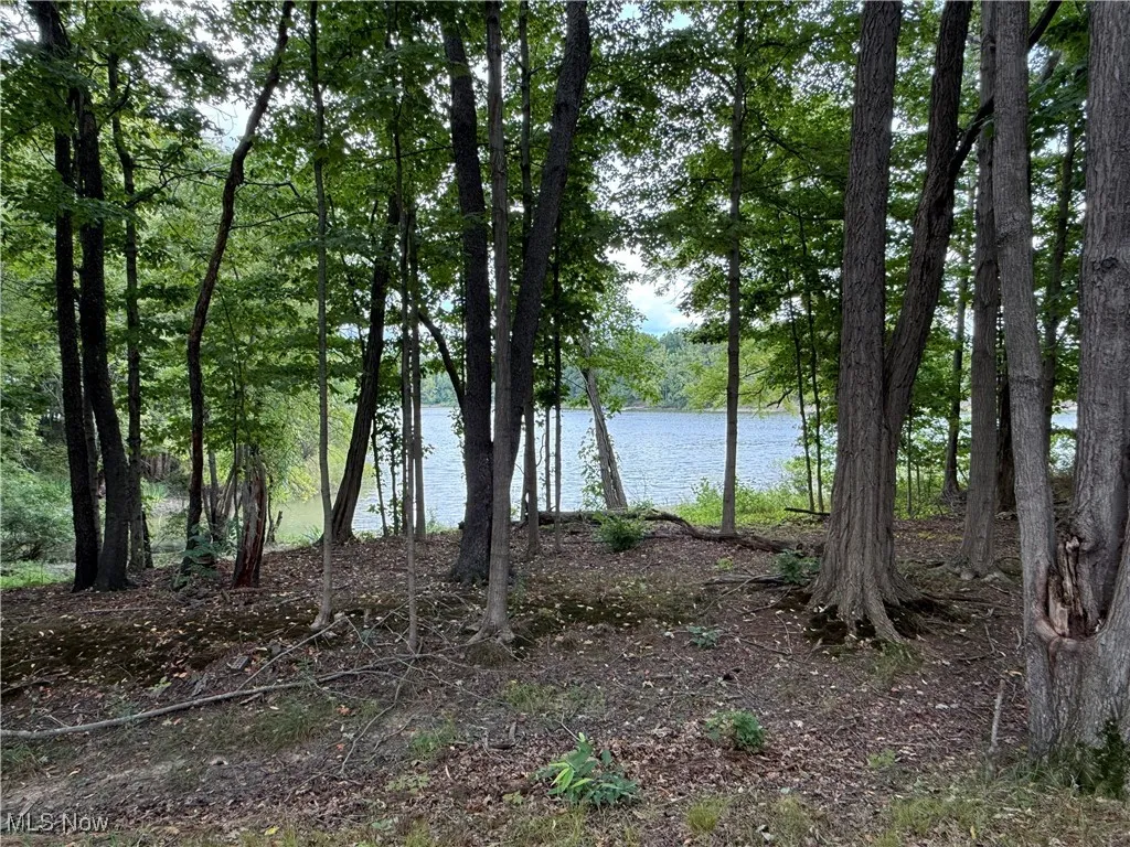 10408 Wagner Road, North Benton, Ohio 44449,MLS Now Listing ID