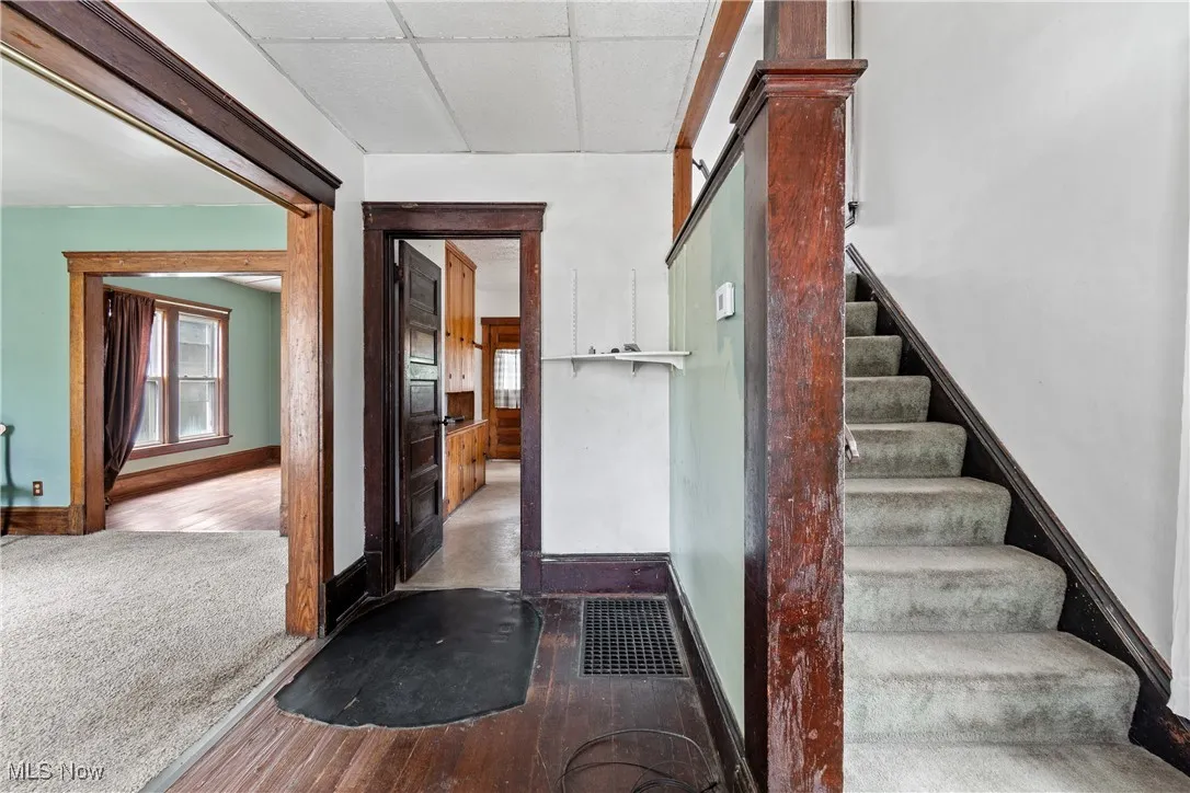 Stairs with wood-type flooring, plenty of natural light, a drop ceiling, and carpet floors