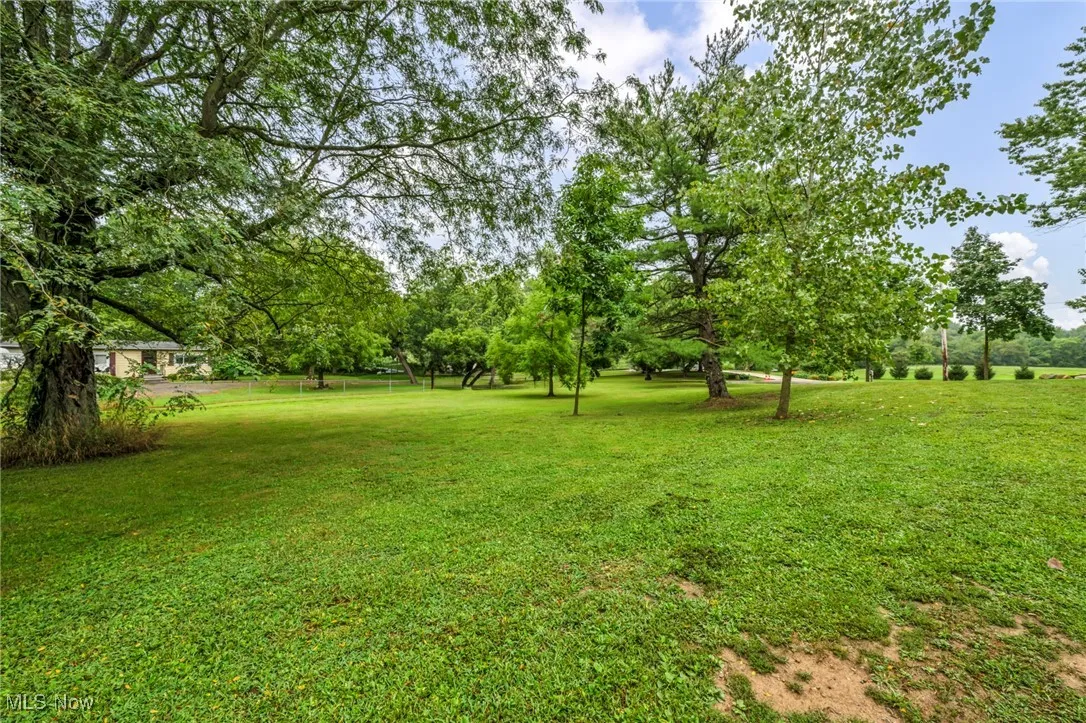 17496 Hallauer Road, Wellington, Ohio 44090,MLS Now Listing ID