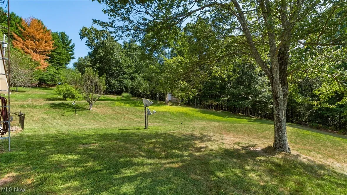 View of grassy yard