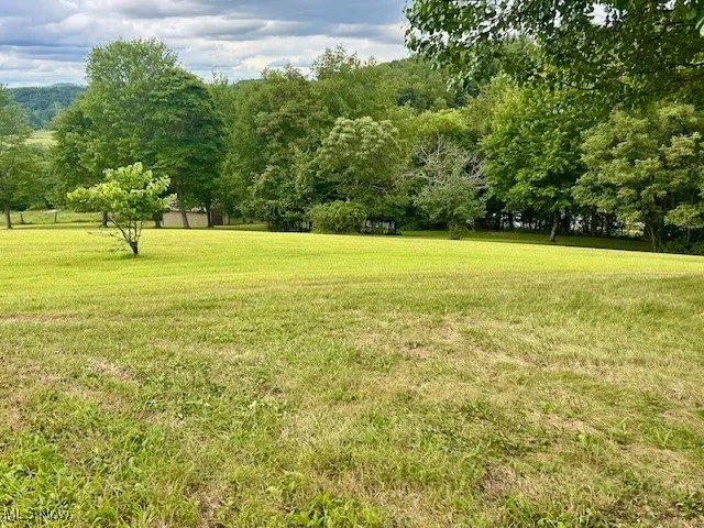 View of green lawn