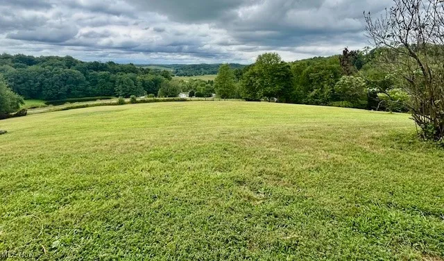 View of green lawn