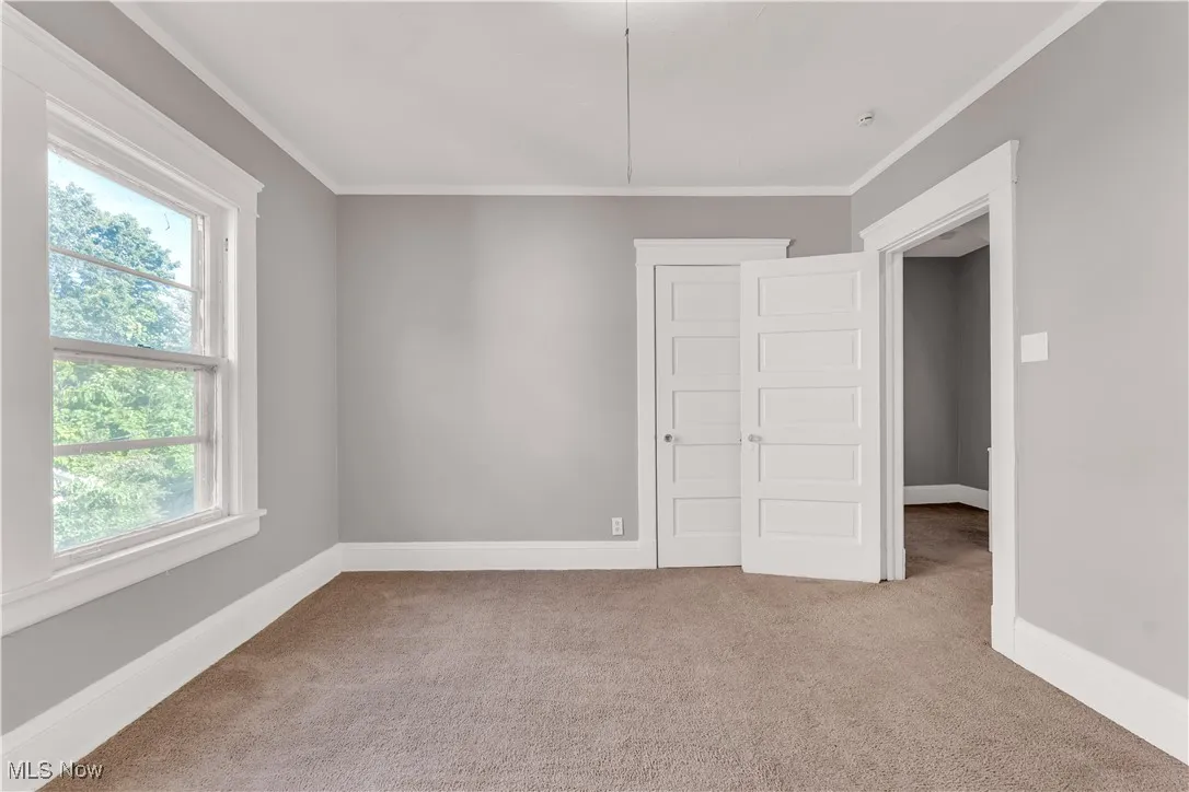 Unfurnished room with light colored carpet and crown molding
