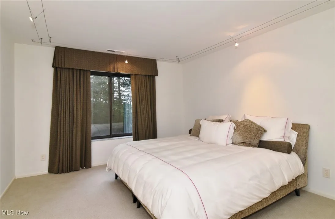 Carpeted bedroom featuring baseboards and rail lighting