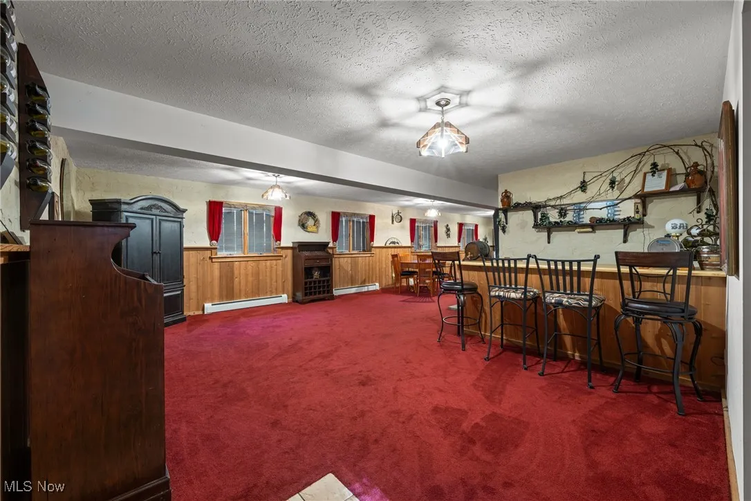 Indoor bar with a wainscoted wall, wood walls, carpet flooring, a textured ceiling, and a baseboard radiator
