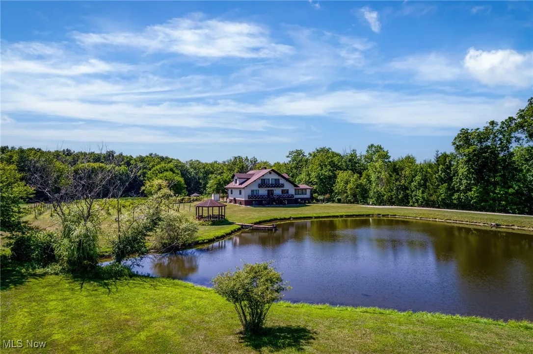Water view featuring a gazebo and a forest