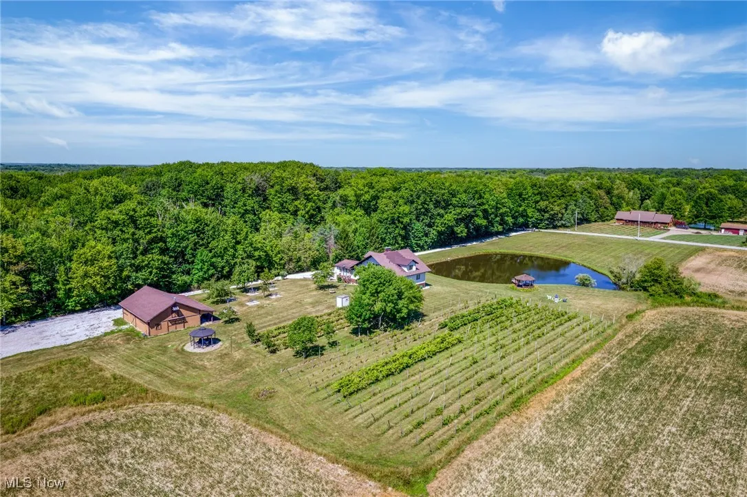Overview of rural landscape featuring a heavily wooded area and a nearby body of water