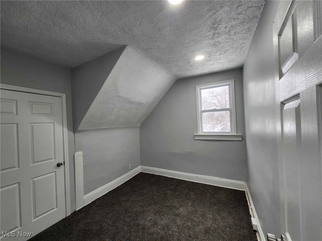 Additional living space featuring a textured ceiling, dark carpet, and lofted ceiling