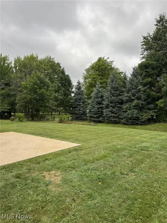View of grassy yard