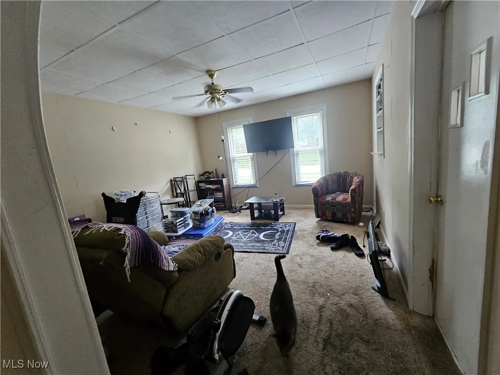Living room with carpet flooring and a ceiling fan