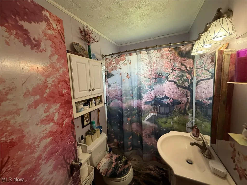 Bathroom with a textured ceiling, ornamental molding, vanity, and a shower with curtain