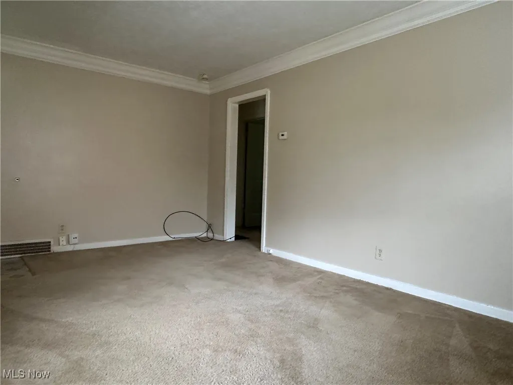 1210 Rowe Street, Akron, Ohio 44306,MLS Now Listing ID