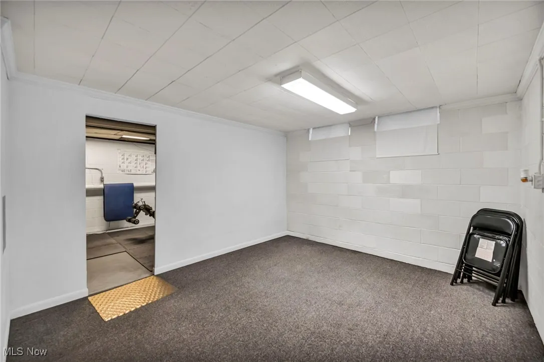 Finished below grade area featuring ornamental molding and carpet flooring