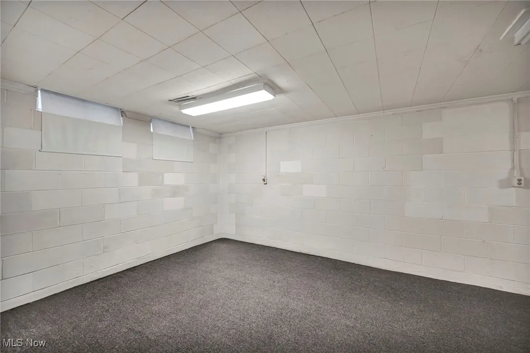 Finished basement featuring concrete block wall and carpet flooring