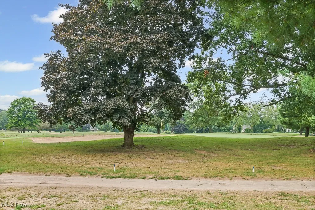 View of community with a lawn, view of scattered trees, and view of golf course