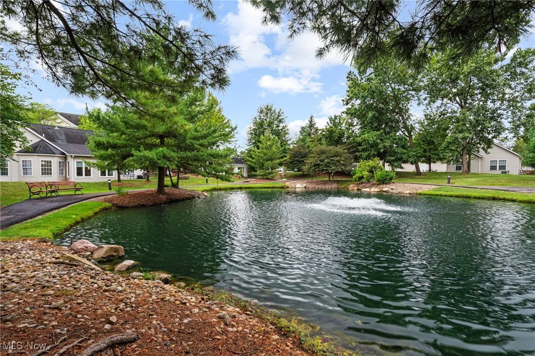 Water view