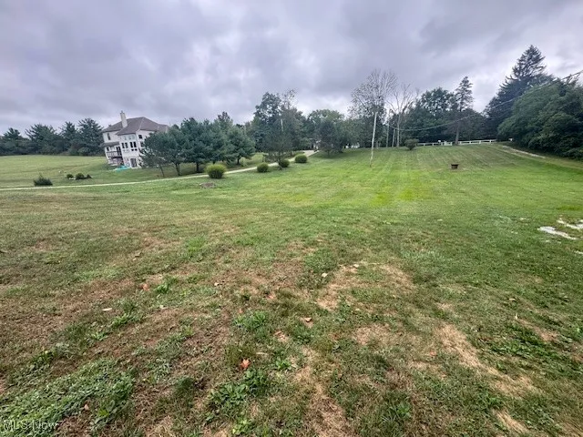 View of grassy yard with view of wooded area
