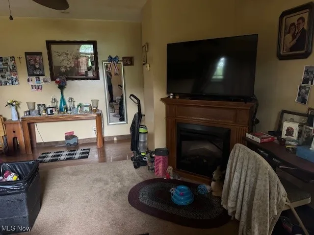 Living area featuring a fireplace and ceiling fan