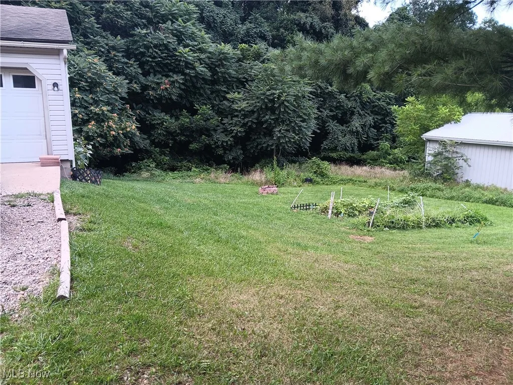 View of green lawn