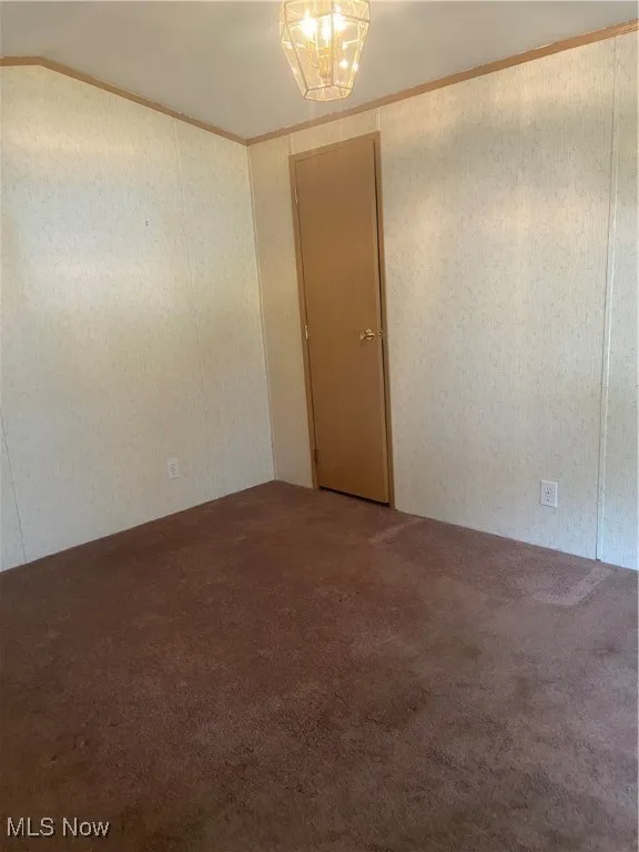 Empty room with ornamental molding and carpet flooring