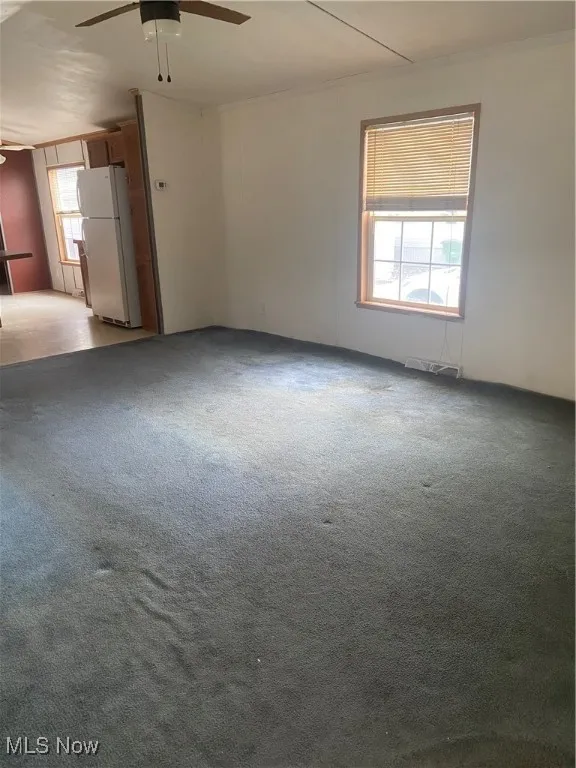 Spare room featuring carpet floors, a ceiling fan, and ornamental molding