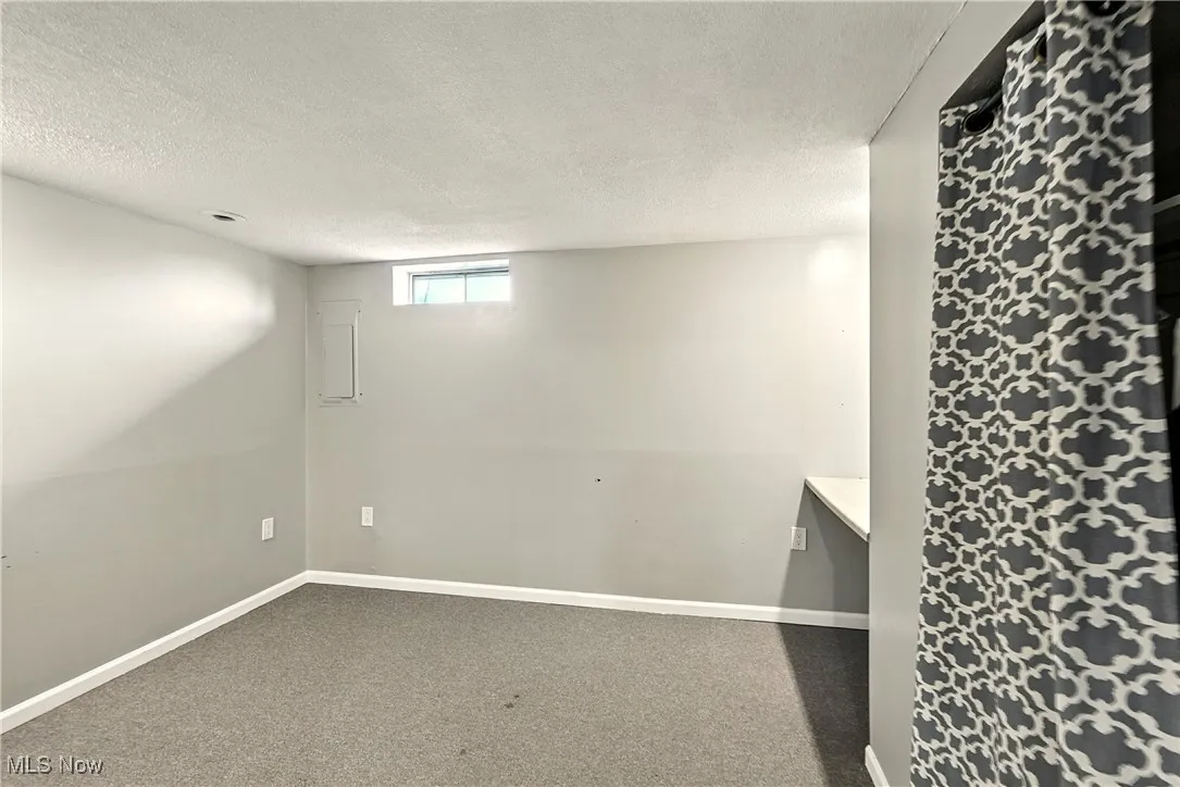 Below grade area with carpet flooring and a textured ceiling