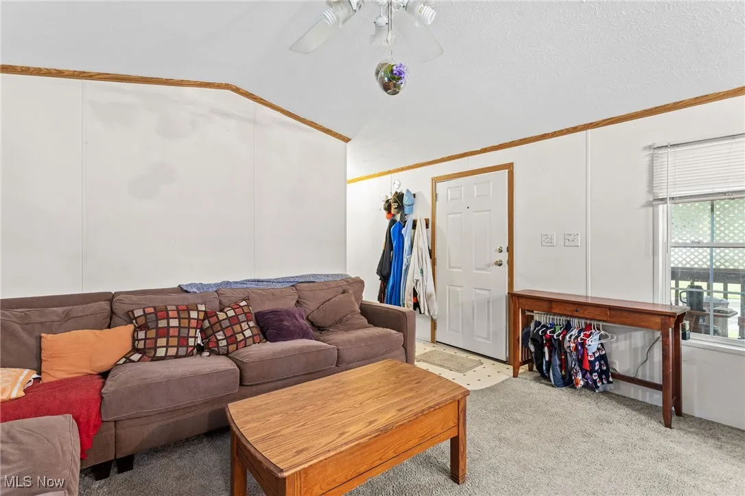 Living area with carpet floors, lofted ceiling, ornamental molding, a ceiling fan, and a textured ceiling