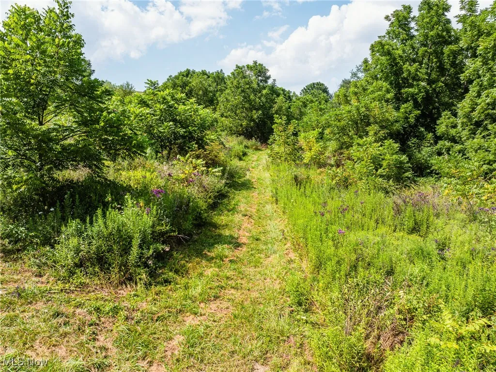 View of nature