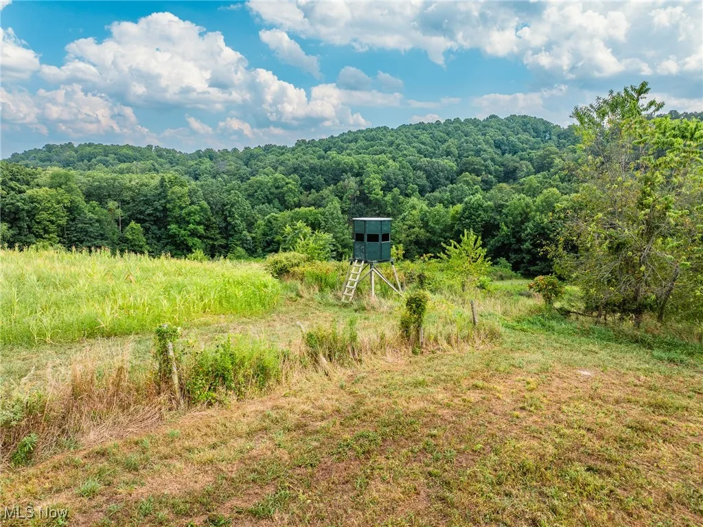 View of mountain background featuring a forest
