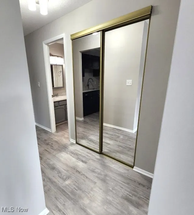 Mirrored hall closet