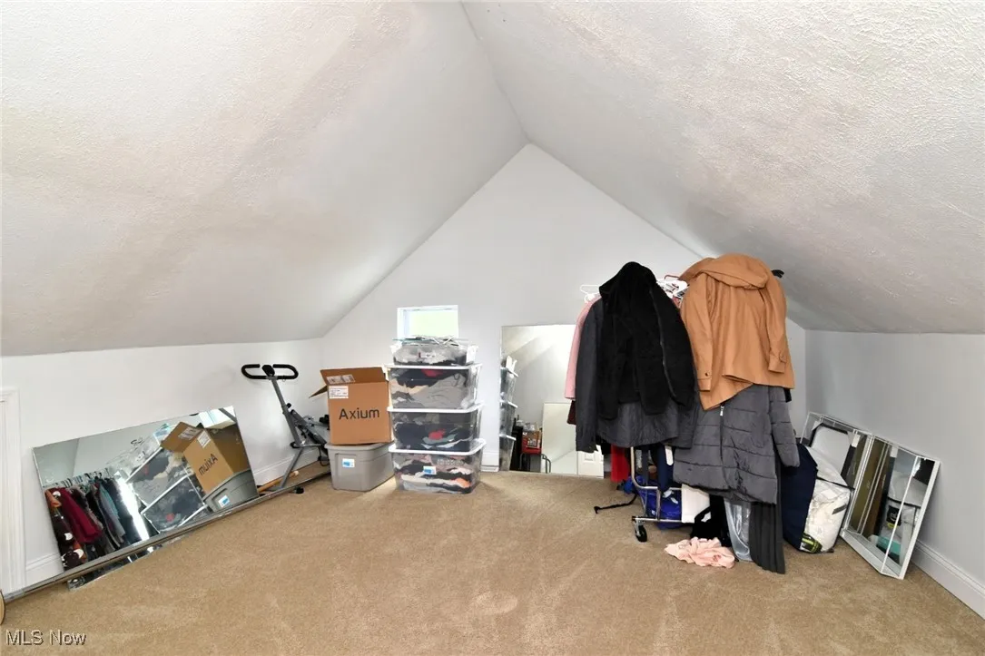 Additional living space with a textured ceiling, carpet flooring, and lofted ceiling