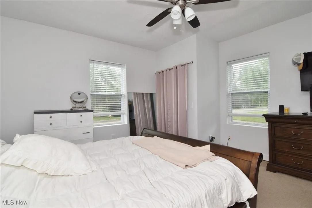 Bedroom featuring multiple windows, carpet floors, and ceiling fan