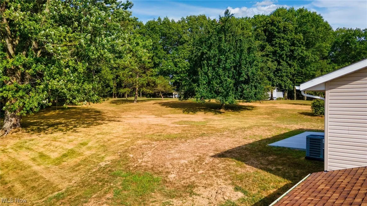 View of grassy yard