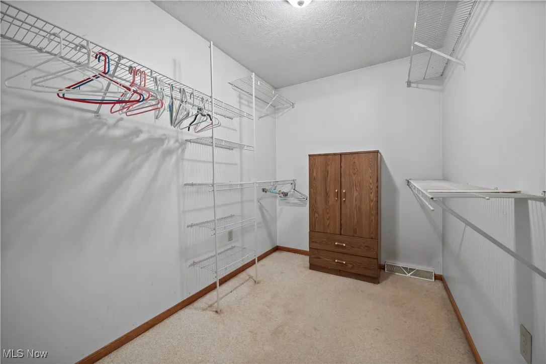 Walk in closet with light carpet