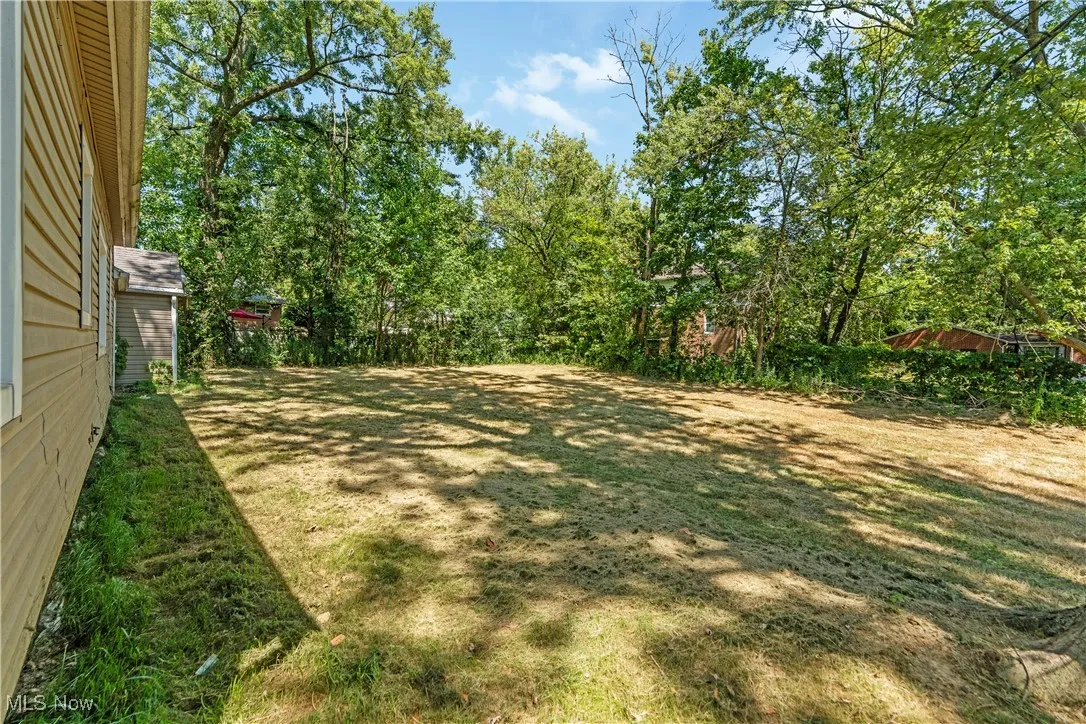 1255 Dover Avenue, Akron, Ohio 44320,MLS Now Listing ID