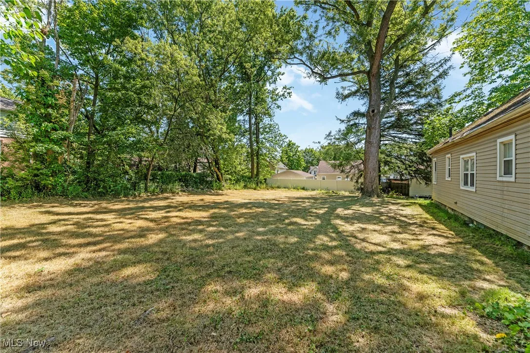1255 Dover Avenue, Akron, Ohio 44320,MLS Now Listing ID