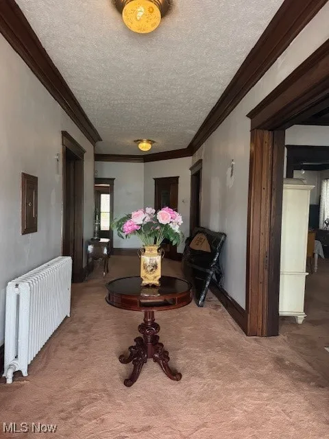 1030 Franklin Avenue, Wellsburg, West Virginia 26070,MLS Now Listing ID
