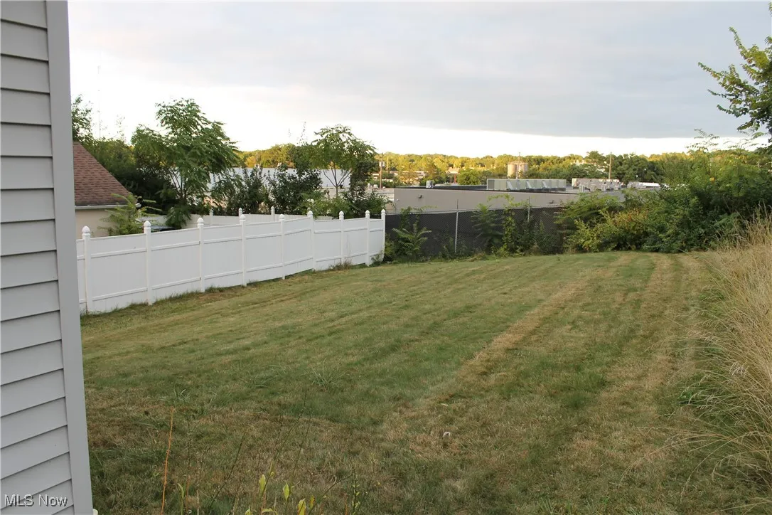 991 Nevin Street, Akron, Ohio 44310,MLS Now Listing ID