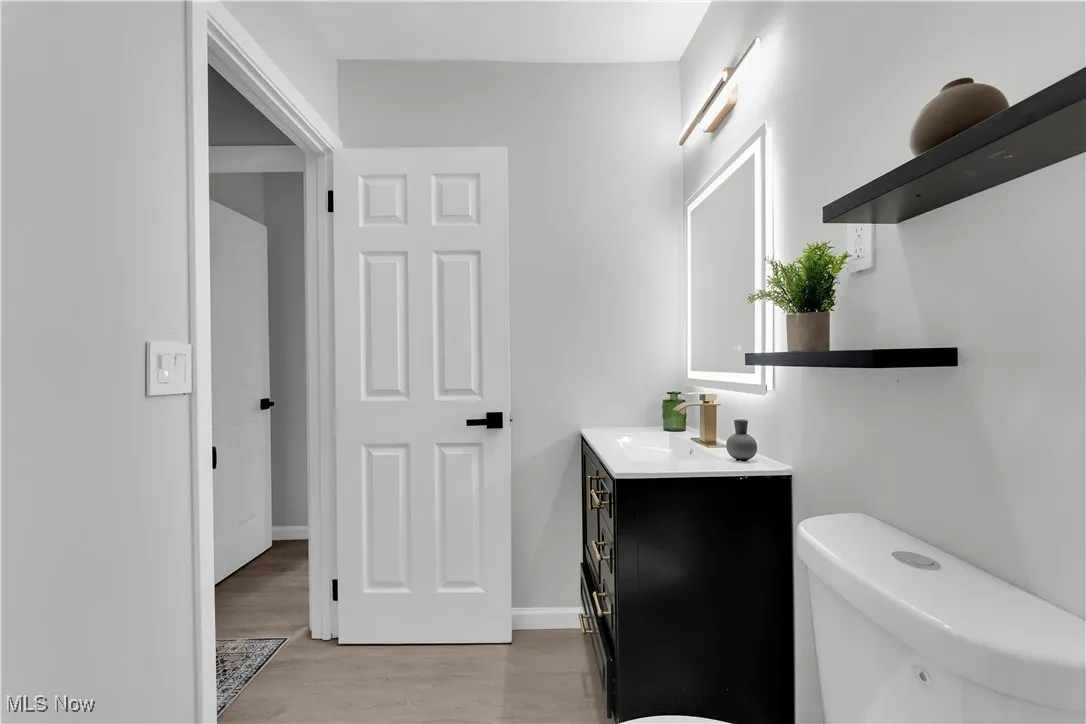 Bathroom featuring vanity and light wood-type flooring