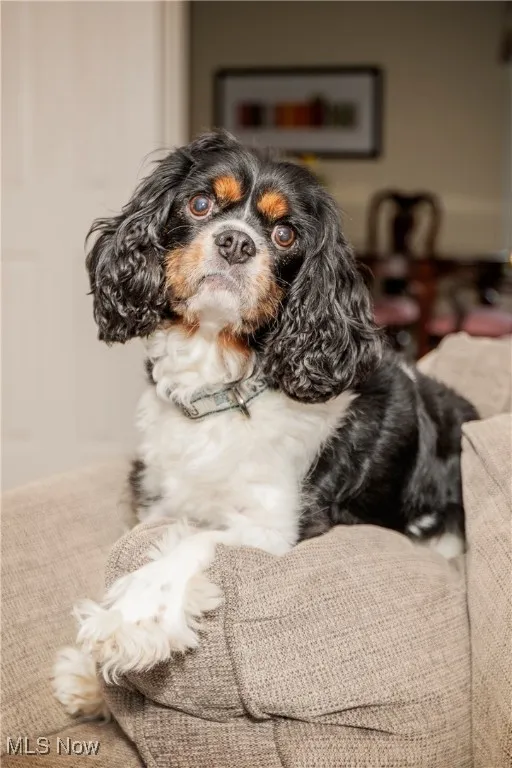 Oscar