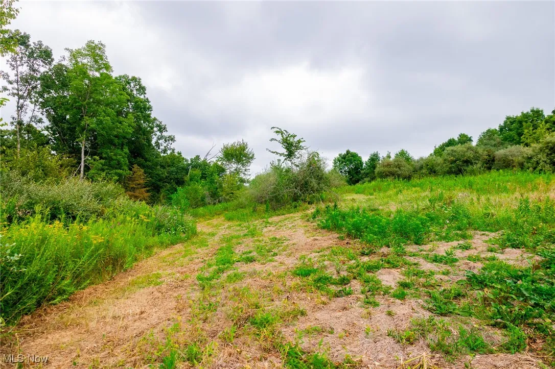 View of undeveloped land