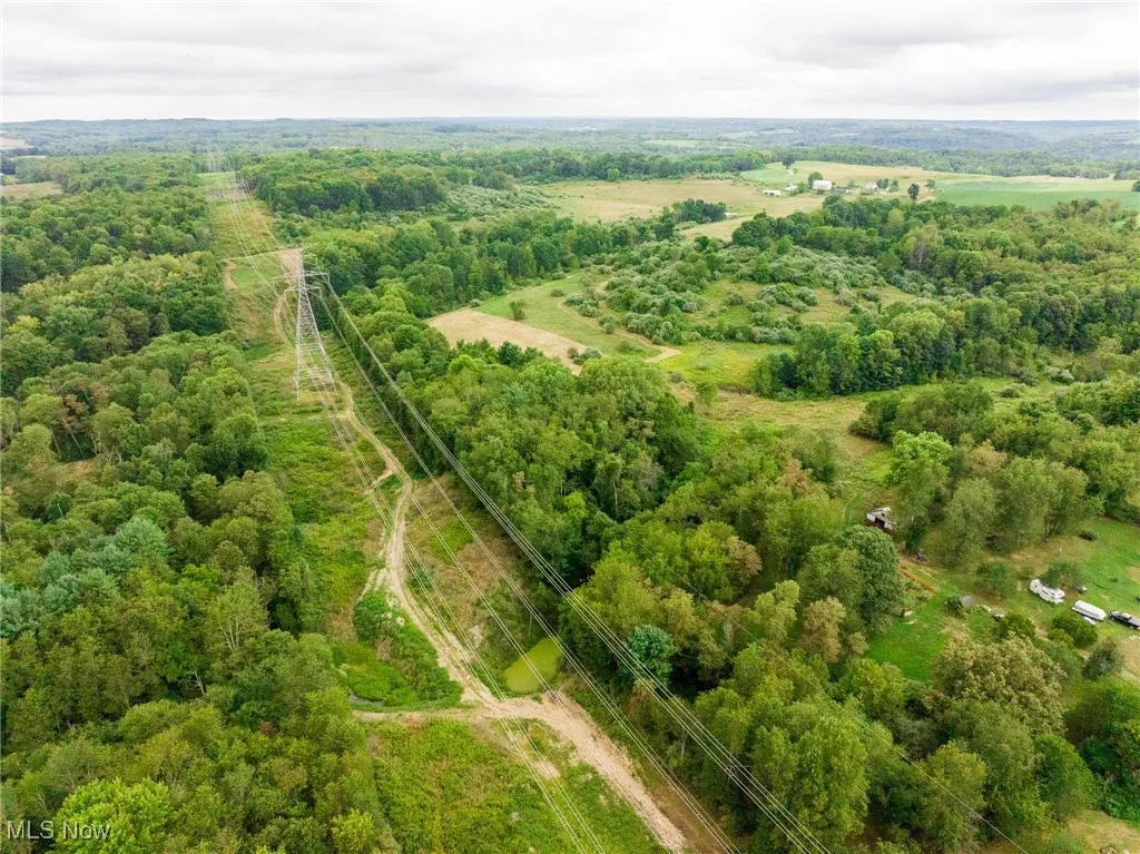 Drone / aerial view of a forest