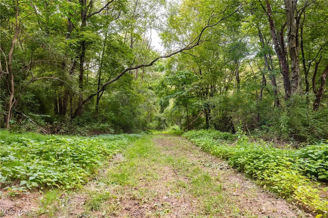 View of road with a wooded view