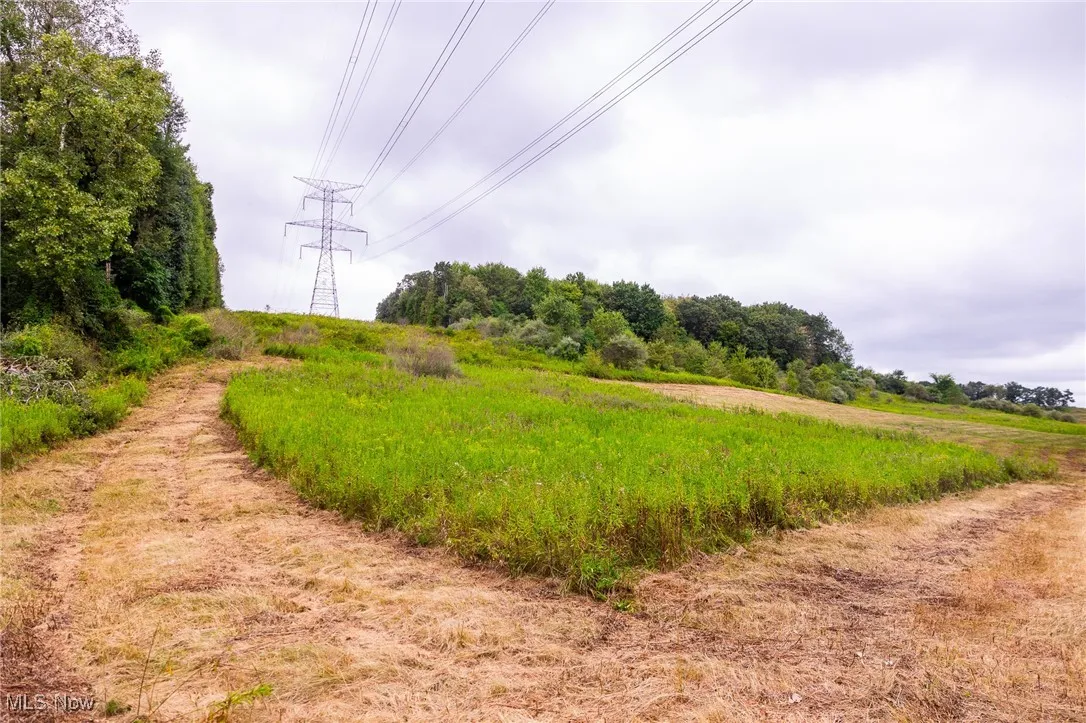 View of nature